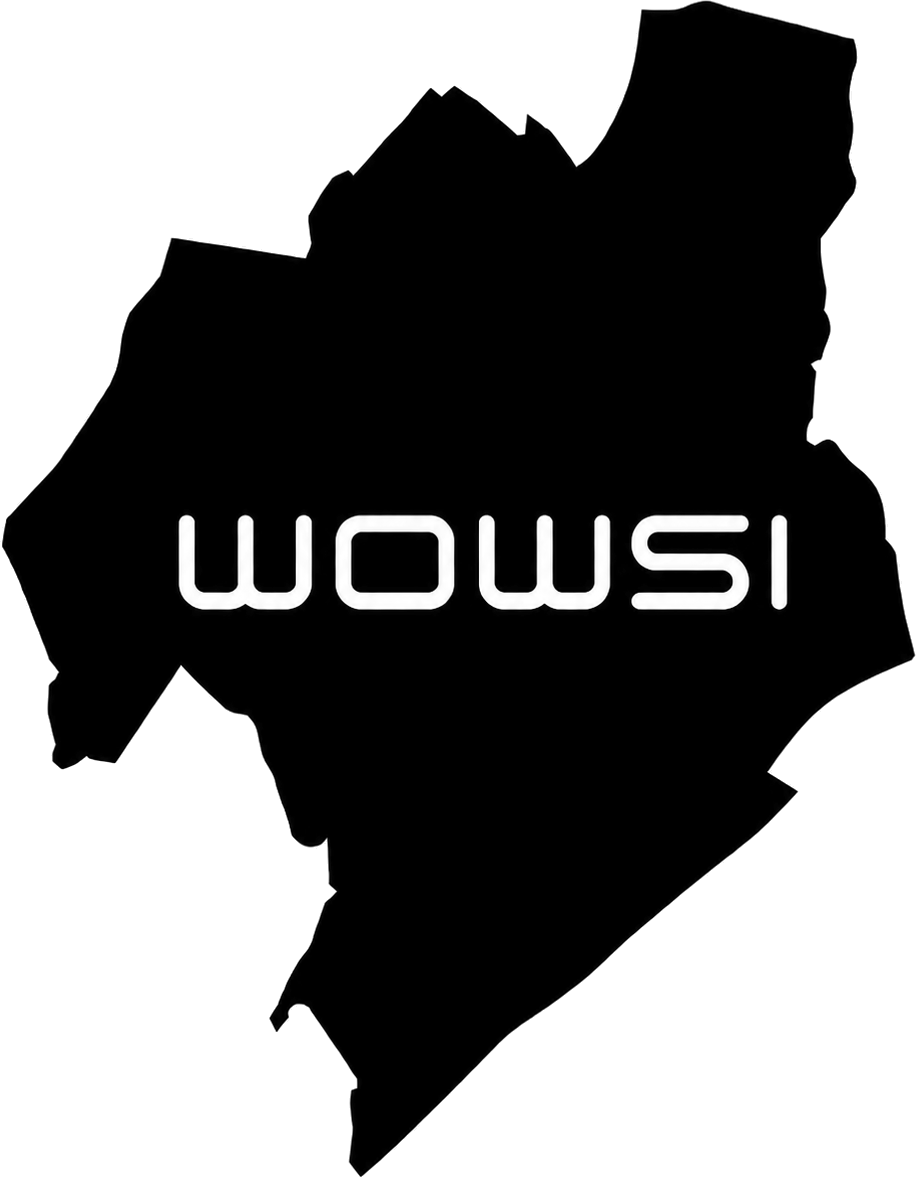 Wowsi-Logo-Designstudio-Header